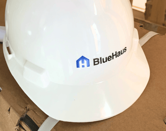 BlueHaus-historia